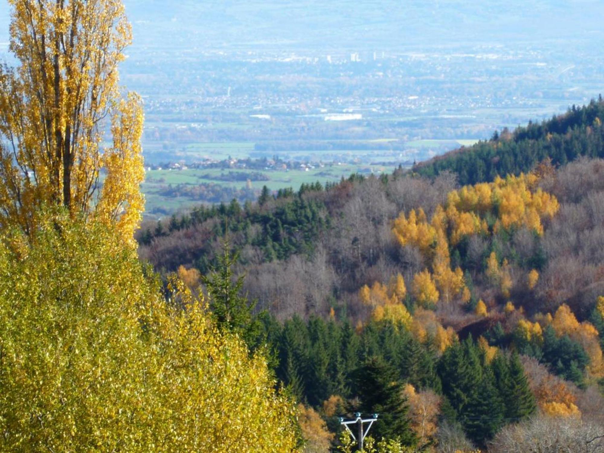 Charmant Gite Avec Terrasse, Cheminee Et Jardin, A Proximite Des Bois, Animaux Acceptes - Fr-1-496-205 Saint-Jean-Soleymieux Exteriér fotografie